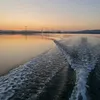 alexnorway80