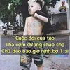 minhng336