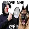 hitak_358