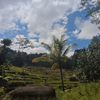 xsyifa09