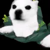 jaemiixxx