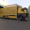 qaisarafridi71