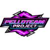 pelloteam_project