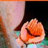 sabr786786