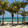 high.tide.305