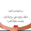 nour.nour4816