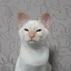 lesha_alex1
