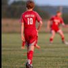henry.klop10