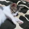awuitadeuwu36