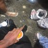 isidrito.com.1