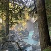 forevernavyblue