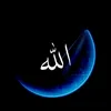 hambaallahh_011