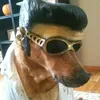 leanmihijo_entds