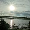 mansukafyp