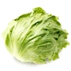 lettuce326