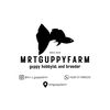 Rafi | mrtguppyfarm