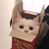 ianswerr