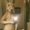 jeancarlososoriom