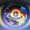user247toxcndj