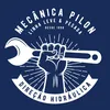 Direção Hidráulica Pilon
