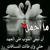marsan616