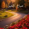 abo_seif22