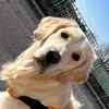 nala.ma.reine