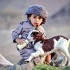 حارث المنشاوي المنشاوي