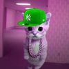 junioar7