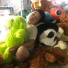 thanhthanh20186