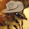howdydoodyhoneybee