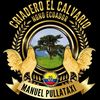 alejnadro.m.p