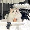 nazwa_1240