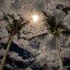 rajaa_141