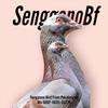 SenggonoBf.