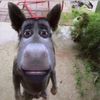 purifoy_madison02