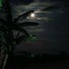 kebba_jhi