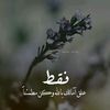 hossamkamel17