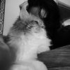 ru_al27
