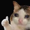 nyan_nyan_2222222
