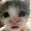 waohheheh2881