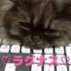 nyanko.mama