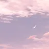 nonesmuse