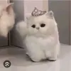 nngocdiepp5
