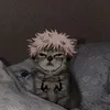juns_258