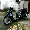 _cibullnih