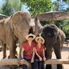 Maerim Elephant Home official