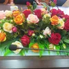 lan.phuong625