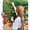 kathar965