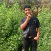 yoseif231